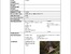[thumbnail of Fulltext]
