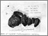 [thumbnail of EN70-025-9D-1.jpg]