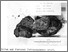 [thumbnail of EN70-025-9D-2.jpg]