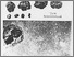 [thumbnail of SO06_13GB_Image.jpg]