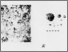 [thumbnail of SO06-1GB_Image.jpg]