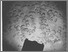 [thumbnail of Photo73_Atlantis151.jpg]