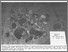 [thumbnail of Fig5-3_Wagoner_1985.jpg]
