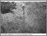 [thumbnail of Fig3-4A_Jackson_1985.jpg]
