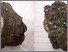 [thumbnail of D5978_DSC_0157.jpg]