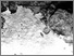 [thumbnail of D5137_Ph1.jpg]