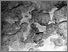 [thumbnail of D5137_Ph2.jpg]