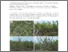 [thumbnail of Methods_canopy_properties.pdf]
