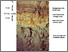 [thumbnail of Figure1_NRM.jpg]