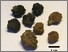[thumbnail of Figure2_NRM.jpg]