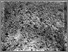 [thumbnail of rc09_001_005_M.jpg]
