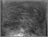 [thumbnail of rc09_033_070_M.jpg]
