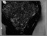 [thumbnail of Fig2_A_Aumento.jpg]