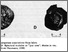 [thumbnail of Naumann_1930_Nodules.jpg]