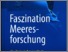 [thumbnail of FasziMeerforschTitel.pdf]