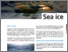 [thumbnail of WEB_UK_Factsheet_SeaIce.pdf]