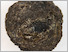 [thumbnail of PS2262-8_1090-1099b_Manganknolle.jpg]