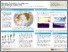 [thumbnail of FMiesner_Poster_RCOP2021_SubmarinePermafrostCarbon.pdf]