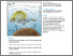 [thumbnail of Pacherres_et_al_2022_Ciliary_flows_in_corals_ventilate_target_areas_of_high_photosynthetic_oxygen_production.pdf]